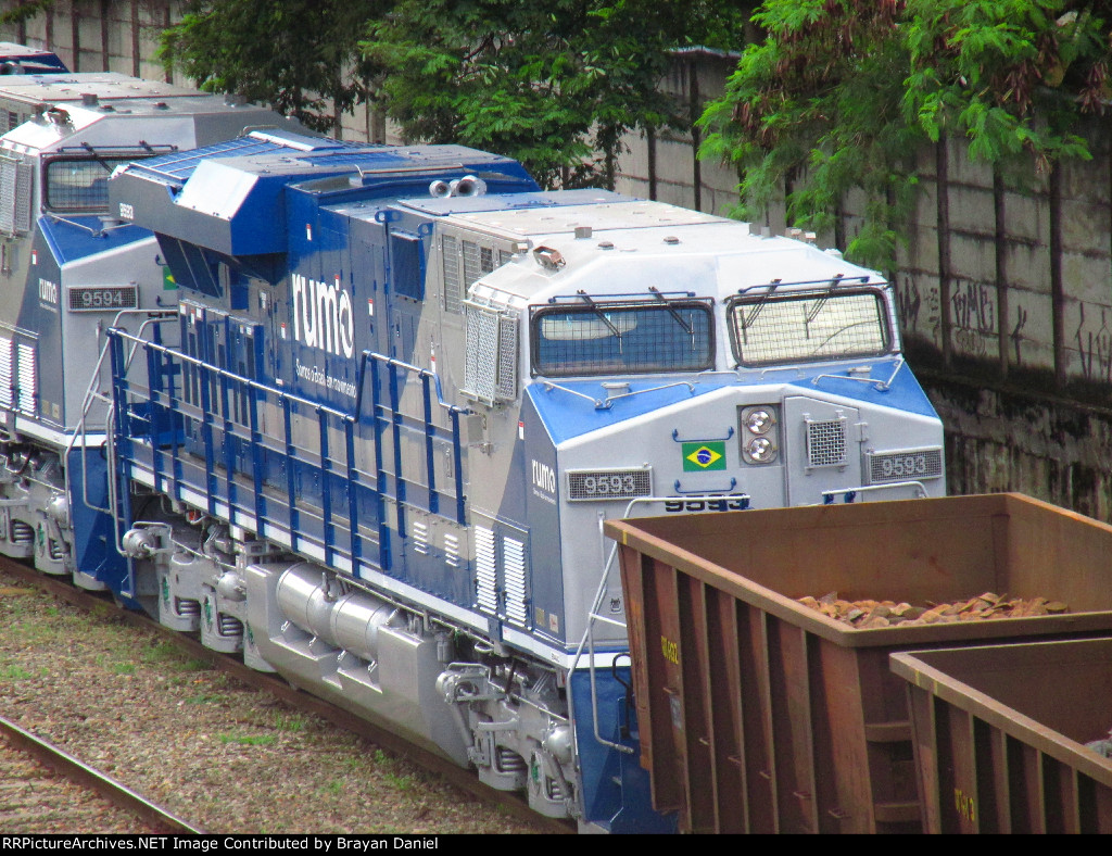 RUMO 9593